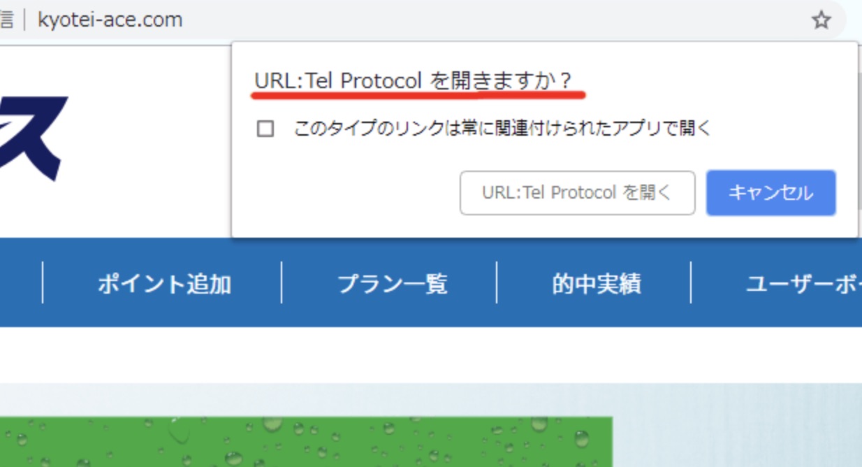 競艇研究エースという競艇予想サイトは電話が起動するという情報画像