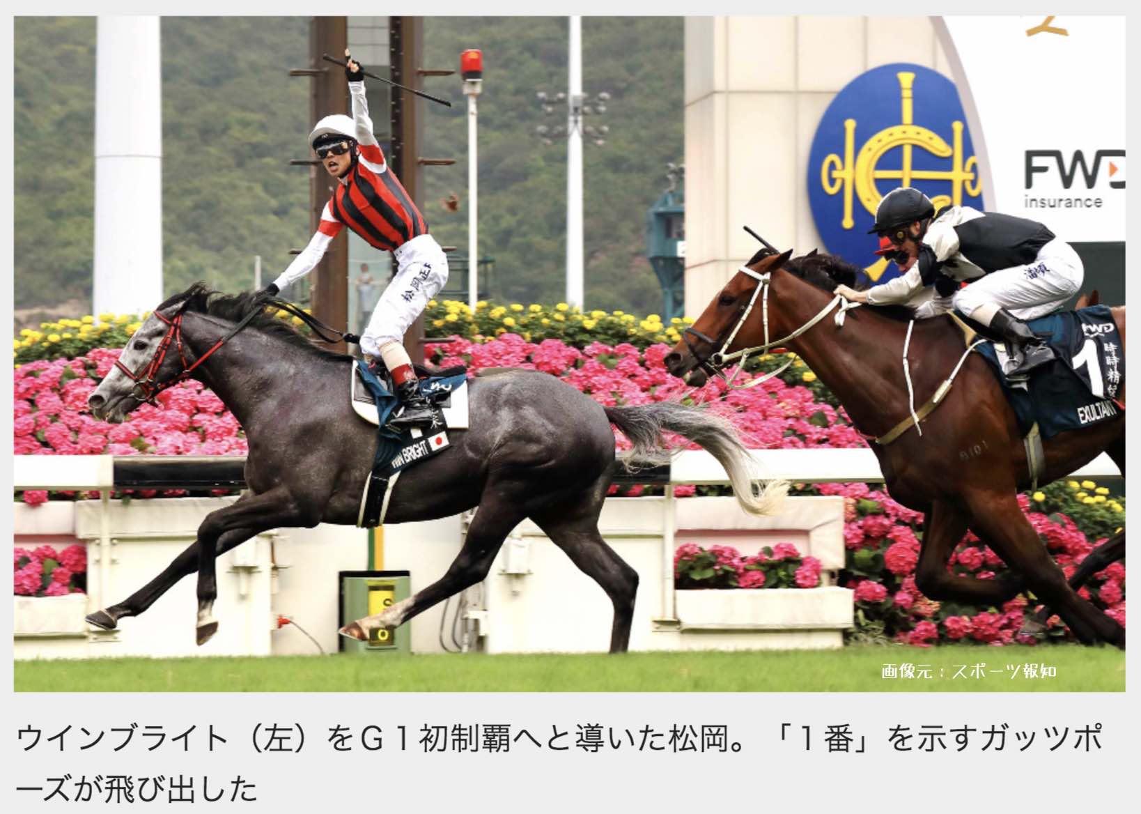 クイーンエリザベス2世Cで勝ったウインブライト