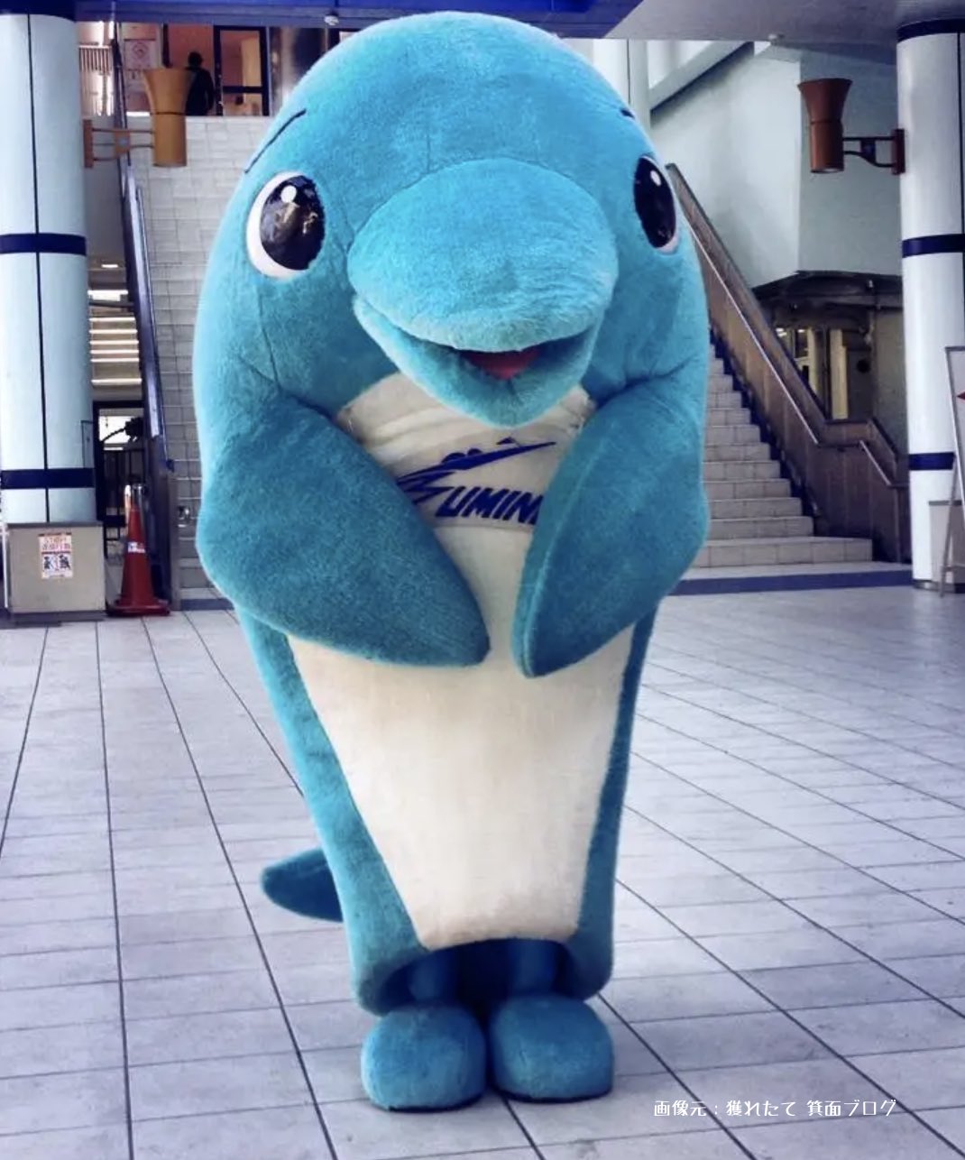 全国24競艇場のマスコットキャラクターを、写真付きで徹底検証