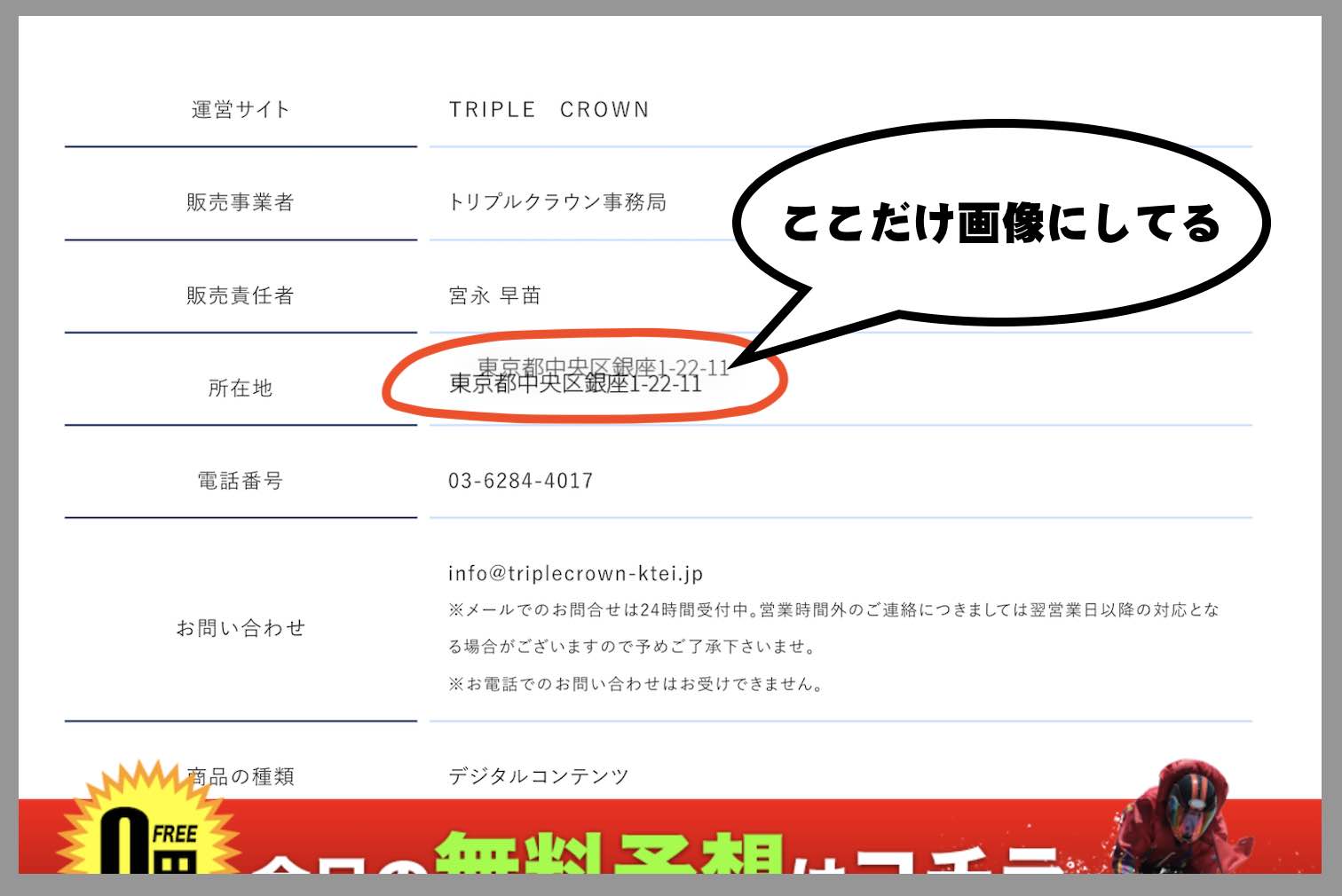 トリプルクラウンという競艇予想サイトのの運営会社情報