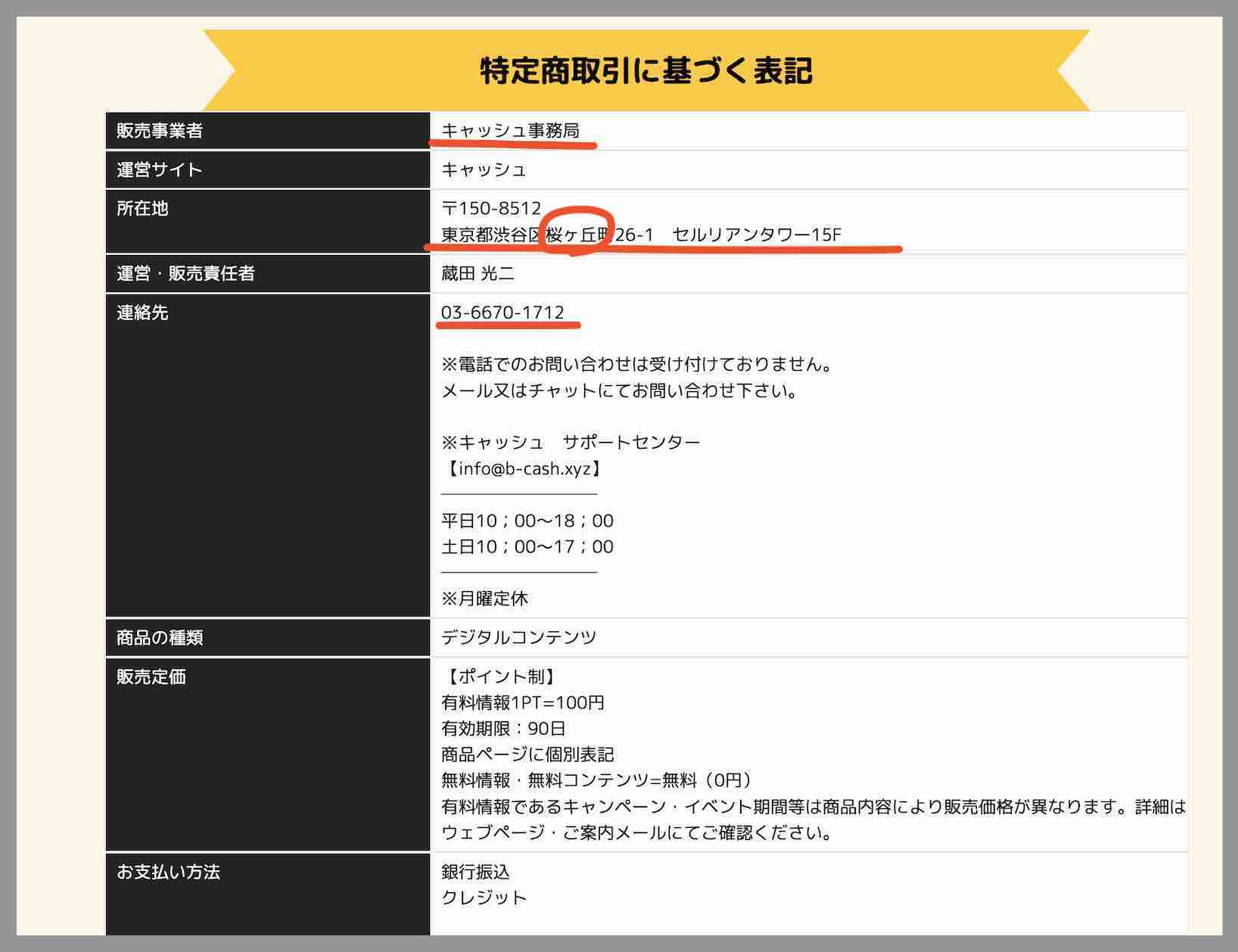 キャッシュという競艇予想サイトの運営会社情報