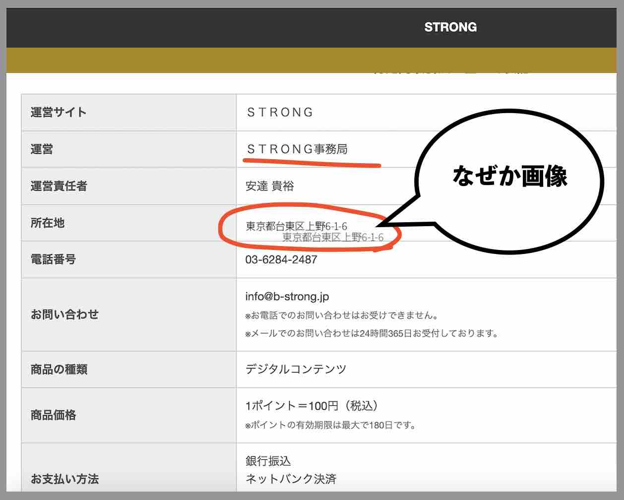 競艇ストロング(競艇STRONG)という競艇予想サイトの運営会社情報