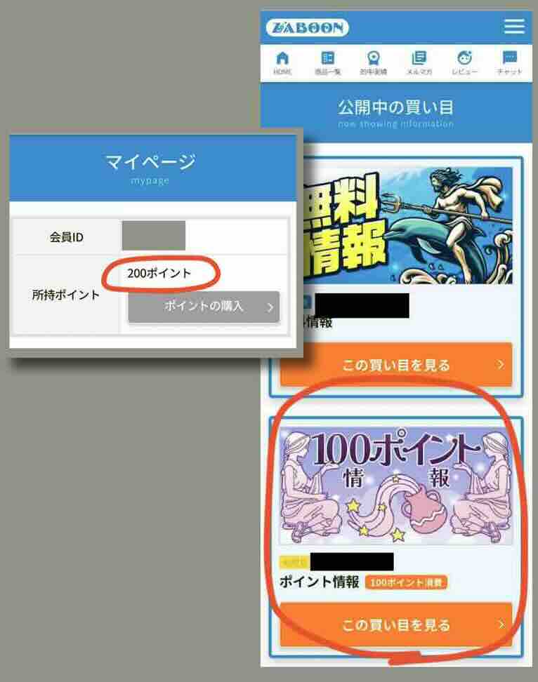 競艇予想サイト「競艇ザブーン(ZABOON)」のポイント還元を検証